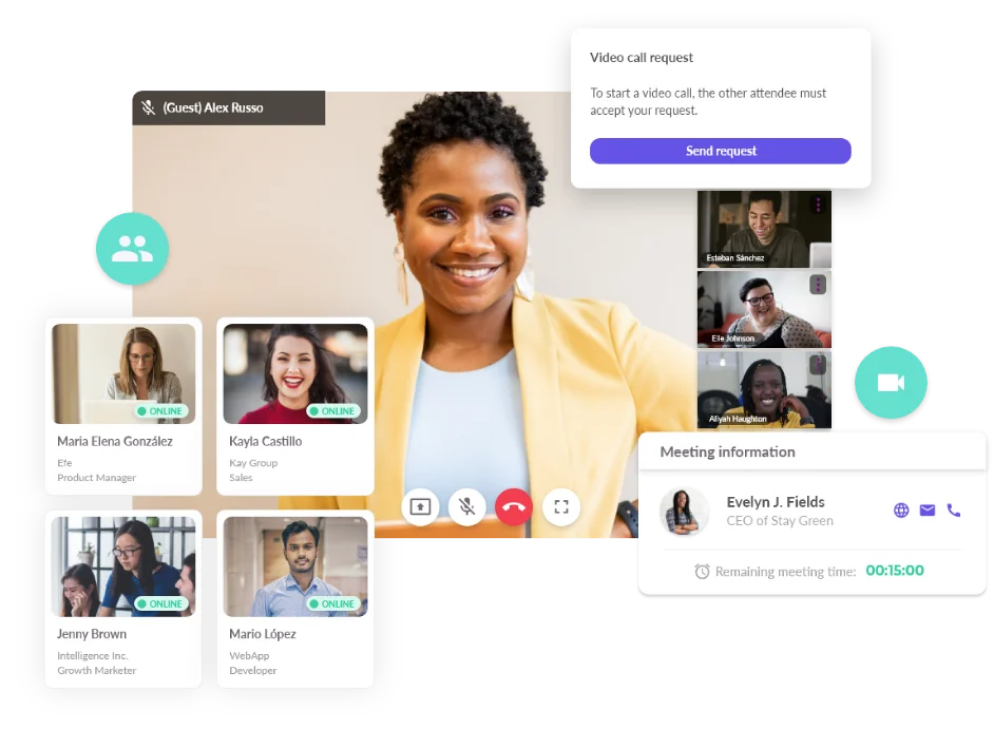Video call demo