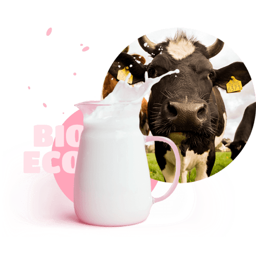 cow and bio eco milk
